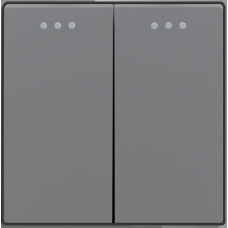 2-gang 2-way mechanical switch module - GRAY