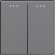 2-gang 2-way mechanical switch module - GRAY